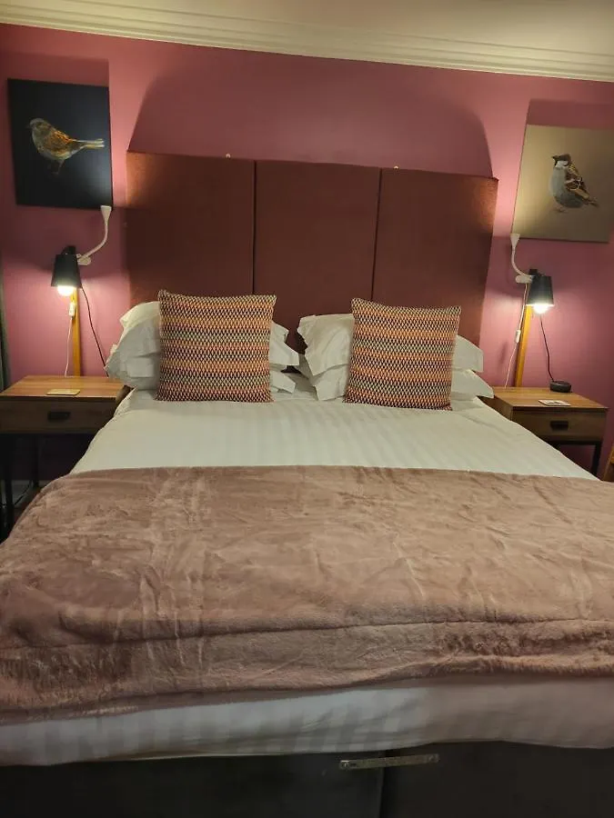 Scooniehill Farm House B&B Сент-Андрус